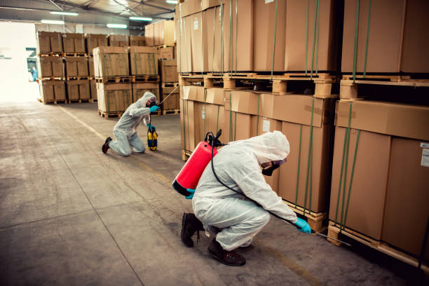 Flea Control Services in Cranford, NJ